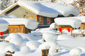 雪谷丁子涵時尚家庭旅館