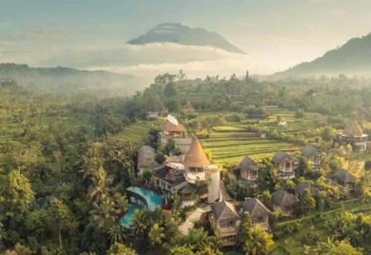 2. 더 와파 럭스 ..