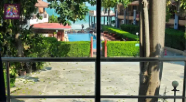 迪斯科動物園酒吧和旅館