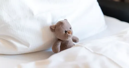 PLAZA Hotel Föhr am Bodensee Отели в г. Фридрихсхафен