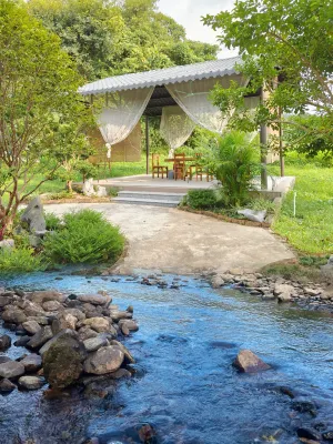 悅喜自然公園特色民宿 清遠恒大世紀旅遊城周辺のホテル