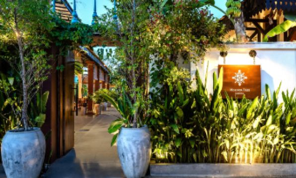 Moringa Tree Maison - Housity