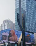 โรงแรม ไหลจู่ ซิงเฉิน (ถนนชุนซี เฉิงตู) - วิว