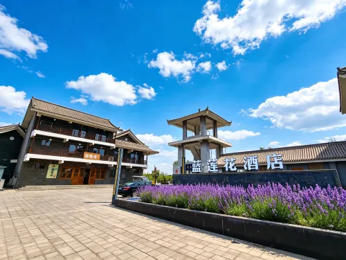 Blue Lotus Hotel (Jiayuguan Fangte Avenue Branch) - Pet friendly