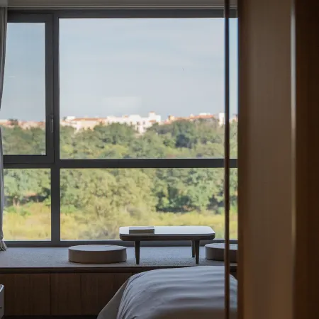 Anaya A.HOTEL