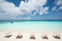 هوتل ريو بالاس زانزيبار - عامامل جميع الخدمات