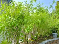 Red Bay Hotel Các khách sạn gần Panzhihua Subtropical Plant Specimen Garden