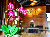The Choice Hotel - Adults Only Hotels near Jerusalem Old City