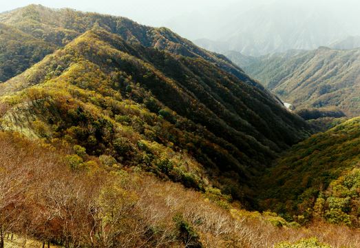 페어필드 바이 메리어트 토치기 닛코