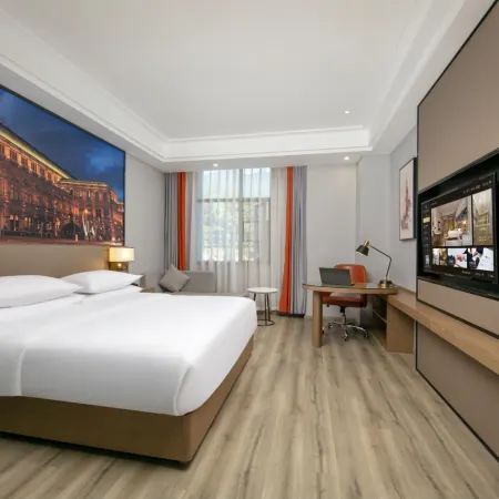 Vienna International Hotel (LinZhi Motuo Branch)