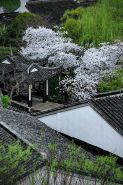 Scholars Hotel Xuntang