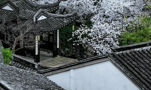 Scholars Hotel Xuntang