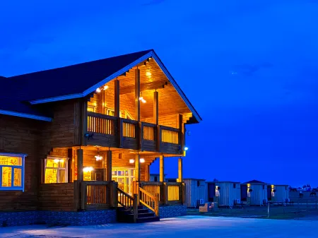 Troon Equestrian Camp