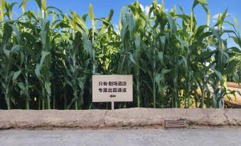 Only Theater Hotel (only Henan Branch)