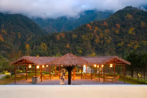 Two mus of Banvilla Tangquan Meisu (OMG Heartbeat Paradise Store)