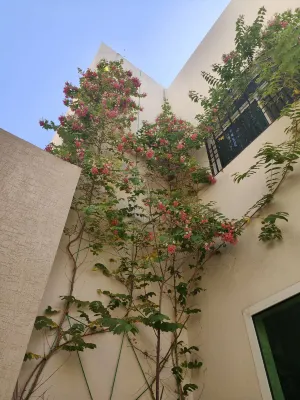 "منزل إقامة ياهويشوان" Hotels near الأندلس سكوير