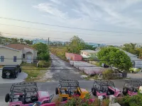 Da Pink and White Palace