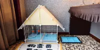 Langzhong Yunxi Hotel - 客室（許可されているペット）
