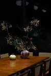 Fuwan · Jiulong Yuangu - พร้อมอาหารเช้า