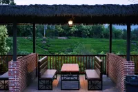 Shuye · Chongyang Chayu Luxury Resort