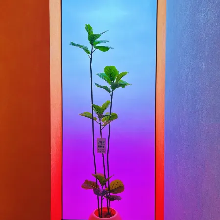 Meet the Future Smart Cinema Hotel