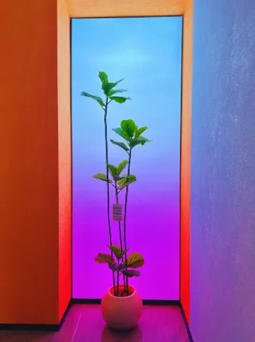 Meet the Future Smart Cinema Hotel