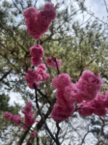 Hi Inn (Beijing Wudaokou Language University)