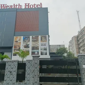 Wealth hotel·Chinese restaurant·VI