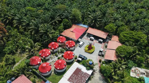 Mushrooms Inn