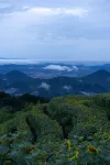 Jinyun Chunshang Yunduan Secret Resort Hotel - Bergblick