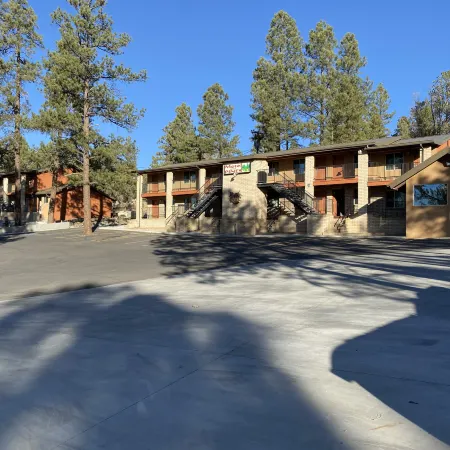 Motel in the Pines