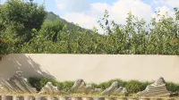 Jiufeng Mountain Hidden Realm, Lechang ｜ Cloud Retreat Lodging - vasca da bagno
