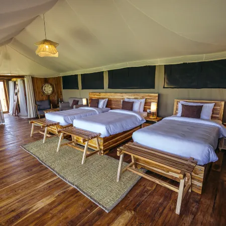 The African Kongoni Serengeti Safari Camp Hotels in Serengeti