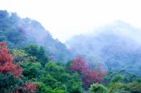 Youju B&B (Qingyuan Taihe Ancient Cave Gulongxia Branch) - Mountain view