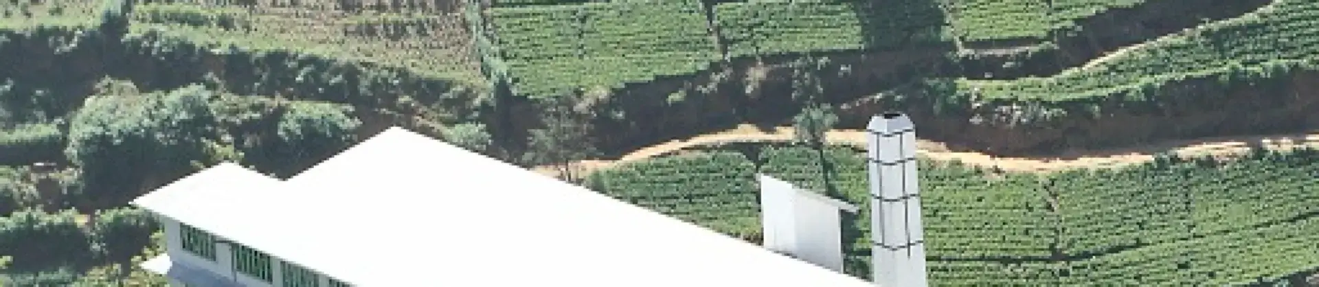 Alberghi Sapore Locale