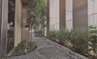 3. Tropican..