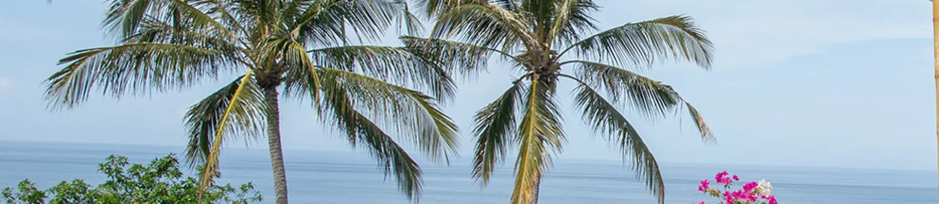 Hotels with Villas