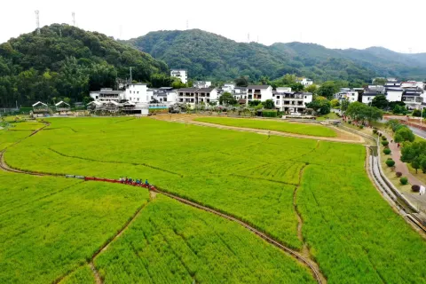 DAOXIWAN  HOT SPRING HOMESTAY