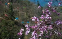 Zega Relatives Hotel - Bergblick