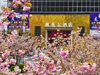 Taohua Hotel