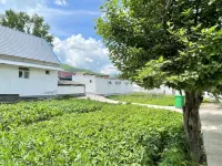 那拉提·山田半畝·民宿（那拉提草原店） - 廚房