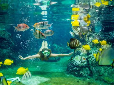 その他 パシフィック アイランド クラブ グアムの写真