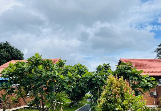 Lotus Home 외부 전경