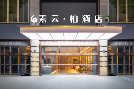 S Hotel Отели в г. Цзыян