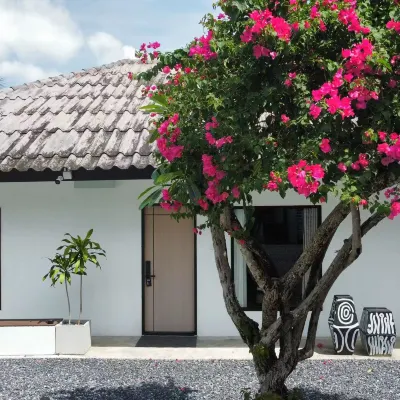 沃霖芭東格林度假村 鄰近西蒙人妖秀的酒店