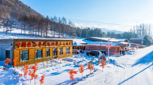 Xuegu Jinze Cold Spring Town (China Xuegu Scenic Area) - avec sources thermales
