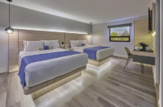 Kali La Raza Mexico City Hotels in 