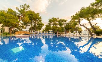 Amara Comfort Resort