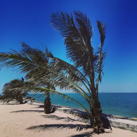 Naozhou Island Tidal Homestay