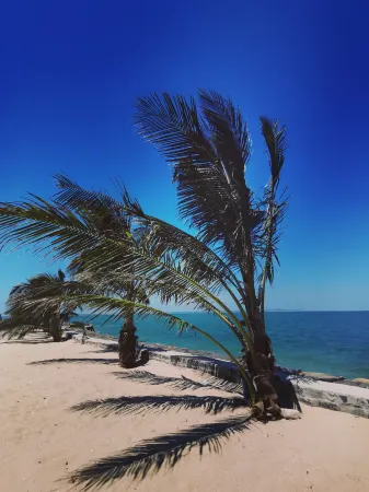 Naozhou Island Tidal Homestay Отели рядом с достопримечательностью «Longhaitian Island»